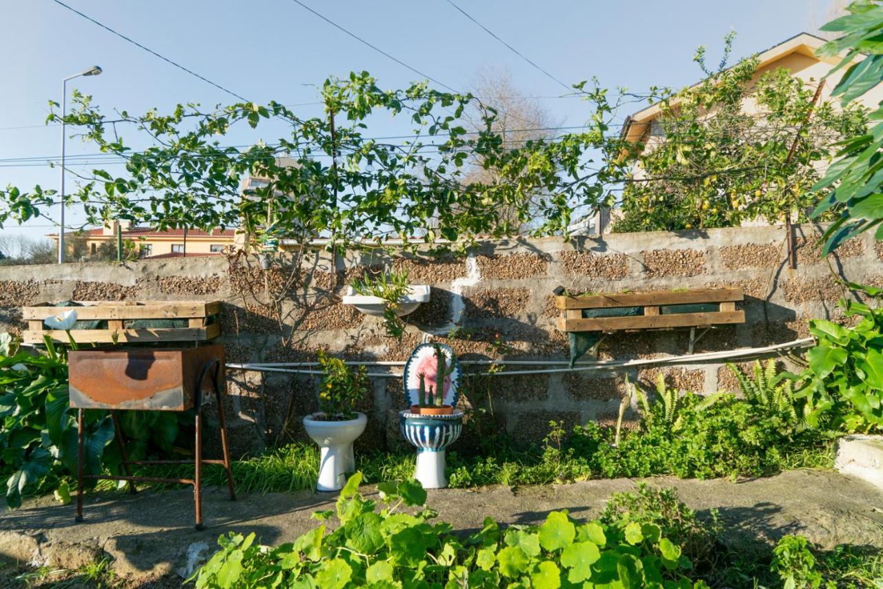 Growth House Bed and Breakfast Porto Eksteriør billede
