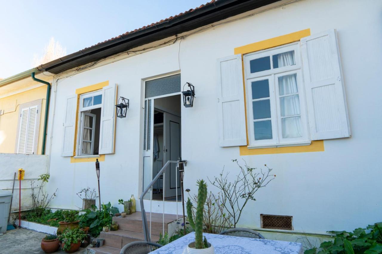 Growth House Bed and Breakfast Porto Eksteriør billede