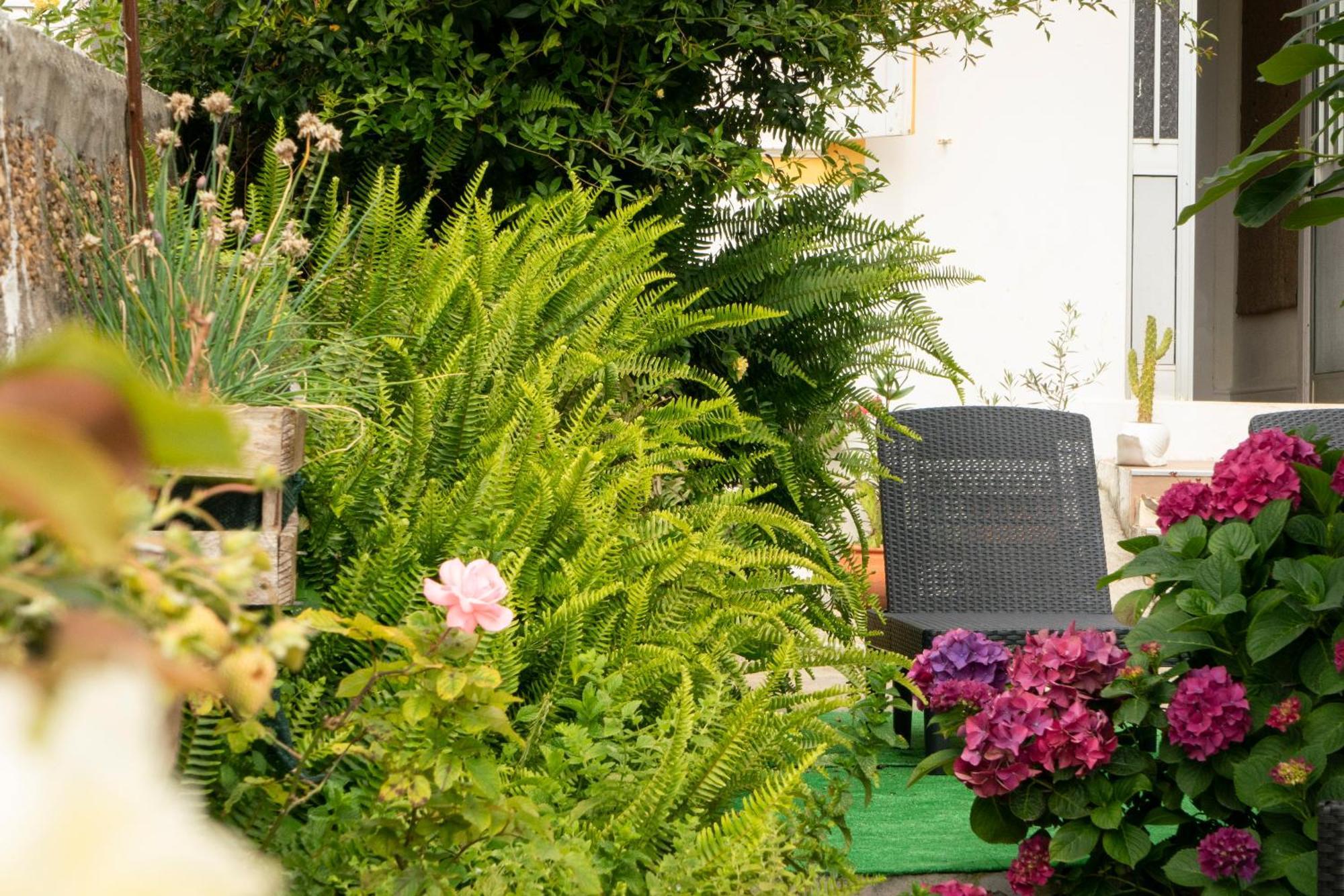 Growth House Bed and Breakfast Porto Eksteriør billede